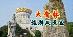污黄片毛中国浙江-绍兴大香林旅游风景区
